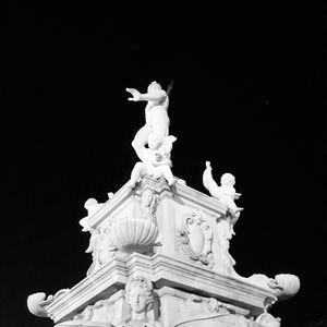 Meet your Posher, Martin